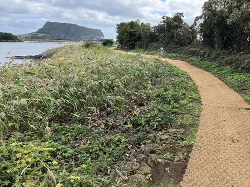 Jeju Olle Trail Course 2: Gwangchigi - Onpyeong, Jeju-do, South Korea - 24 Reviews, Map | AllTrails