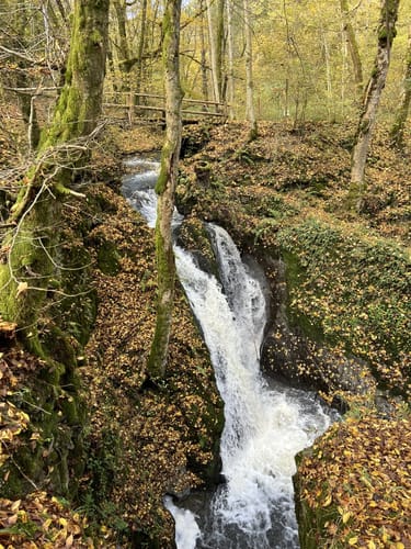 Erlebnisweg Im Tal der Wilden Endert