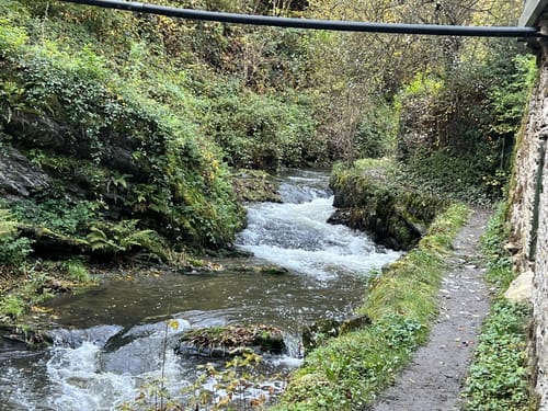 Erlebnisweg Im Tal der Wilden Endert