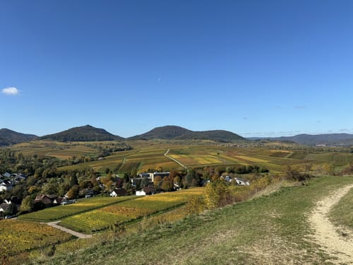 Von Landau zum Kleinen Kalmit