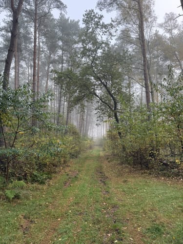 Neuhaus - Rosengarten Rundwanderung