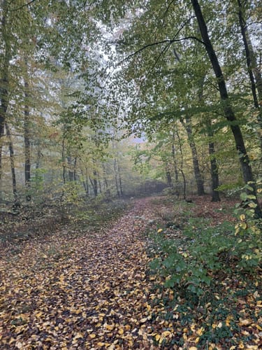 Neuhaus - Rosengarten Rundwanderung