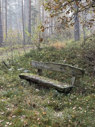 Neuhaus - Rosengarten Rundwanderung
