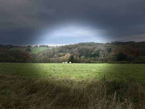 Tal der Brambecke ab Beyenburg