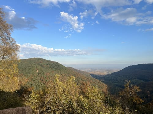 Annweilerer Burgenweg über Föhrlenberg