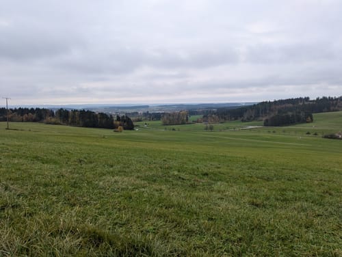 Waldcafe nach Hochemmingen