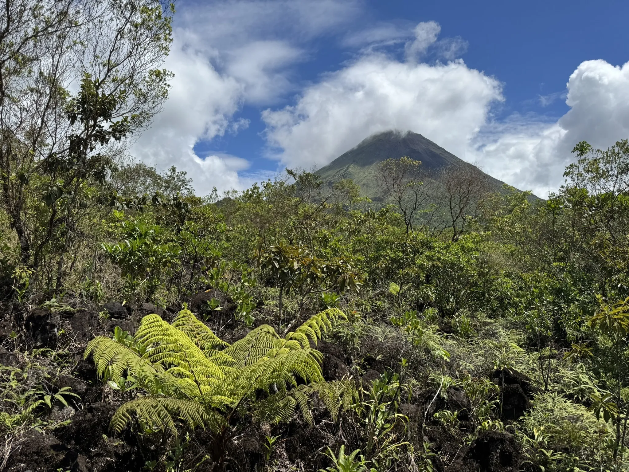 Arenal 1968 Volcano: Forest Trail logo