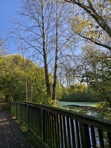 Südsee Rundwanderung