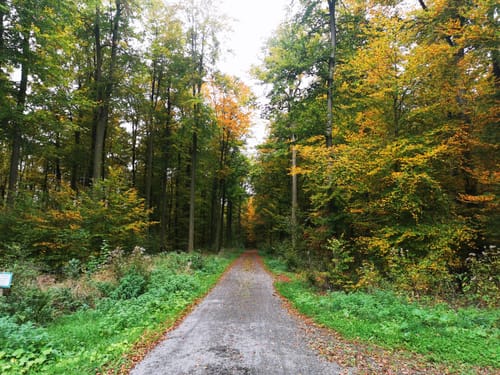 MTB Runde: Eichelberg - Sauberg - Knittlingen