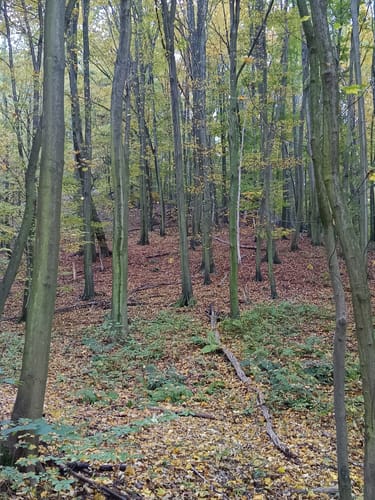 Windberg Rundweg