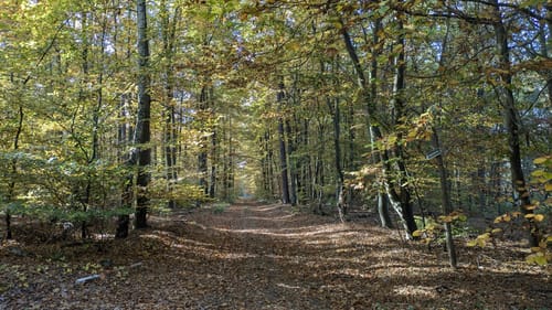Kienbaum Runde
