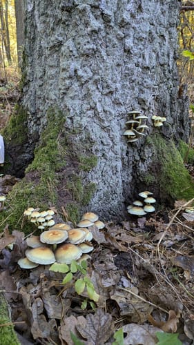 Kienbaum Runde