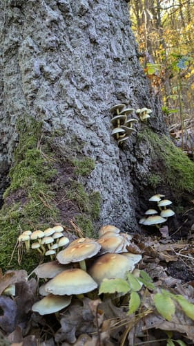 Kienbaum Runde
