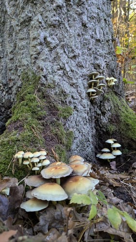 Kienbaum Runde