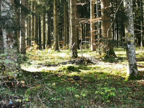 Um Hornstein und Malesfelsen