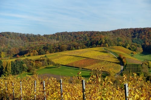 Castell - Wiesenbronn Rundweg