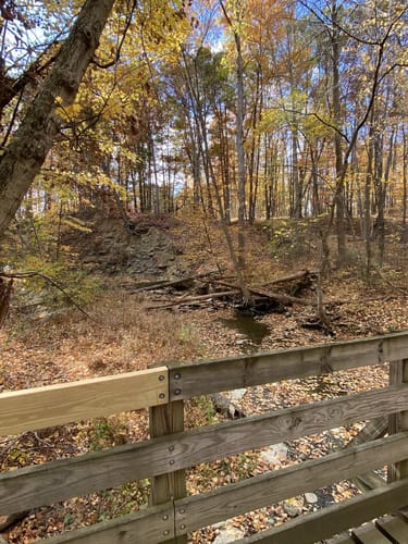 Royalview singletrack hotsell
