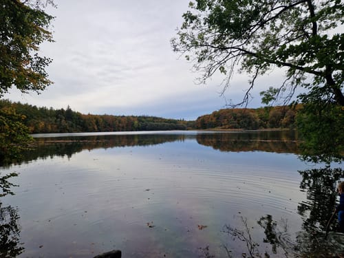 Rundweg Kleiner Schierensee