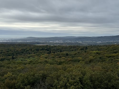 Um den Hardtberg und zum Hardtbergturm
