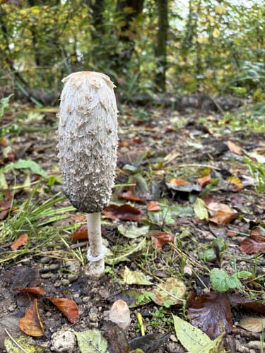 Um die Fuchslochhöhe