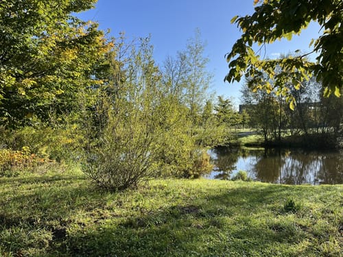 Südsee Rundwanderung