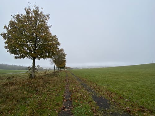 HeimatSpur Mühlenweg Deudesfeld