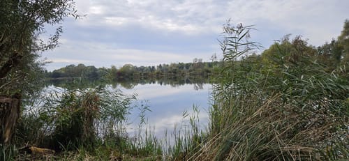 Rund um die Schwarzachtalseen