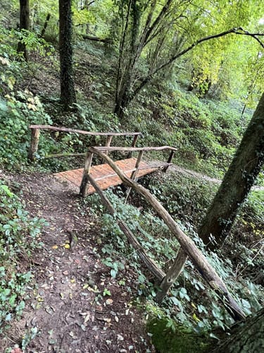 Wolfsweg (Traumschleife)