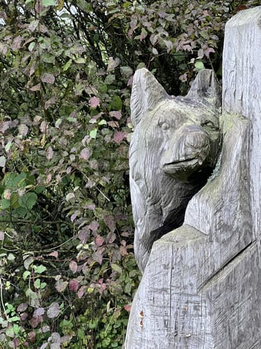 Wolfsweg (Traumschleife)