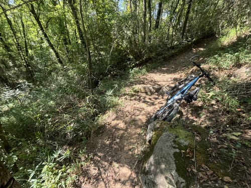 Photos of Chickasaw Trace Mountain Bike Trail Tennessee AllTrails
