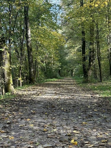 Ab Freising entlang der Isar