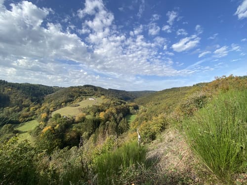 HeimatSpur Wacholder-Kyll-Weg
