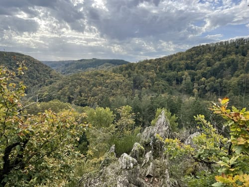 Saar-Hunsrück-Steig Etappe 22: Schmausemühle - Morshausen