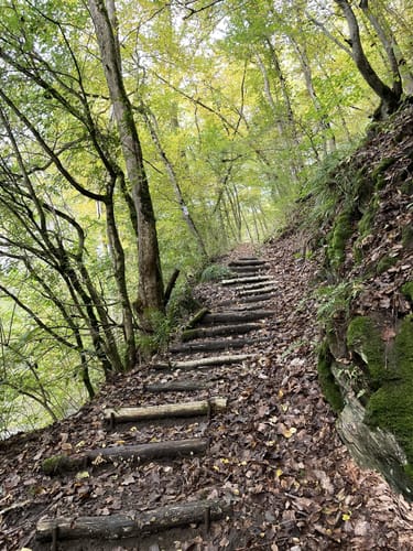 Saar-Hunsrück-Steig Etappe 22: Schmausemühle - Morshausen