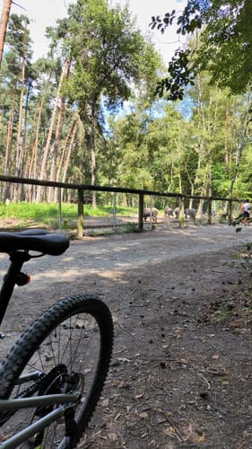 MTB: Rund um den Fürther Stadtwald