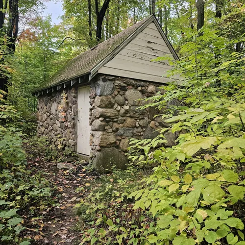 Best forest trails in Zuck Park | AllTrails
