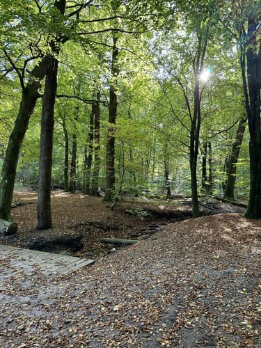 Runde in den Fröruper Bergen