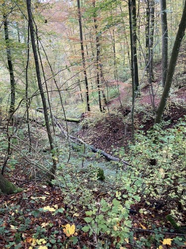 Von Weiler zur Burg Hohengundelfingen