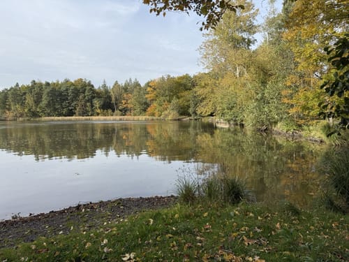 Moritzburger Teichwanderung
