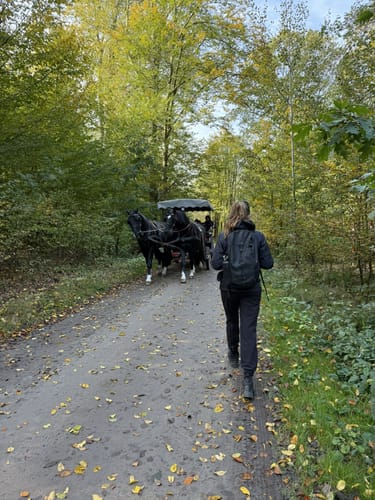 Moritzburger Teichwanderung