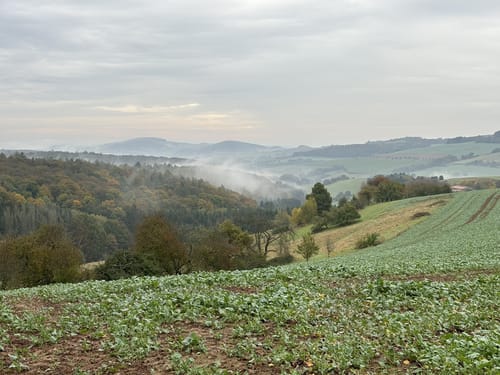 Zum Fallen Berg ab Steinbach am Glan