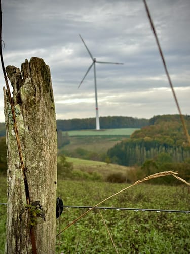 Zum Fallen Berg ab Steinbach am Glan