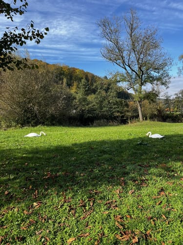 Bad Kissingen entlang der Fränkischen Saale