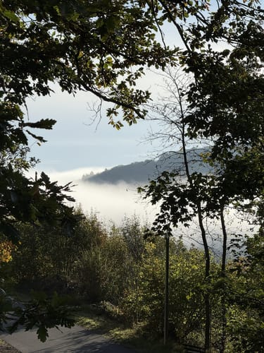 Woffelsbach und Steckenborn