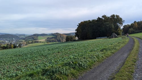 Rund um den Berger Steinbruch und die Ruine Wallenstein