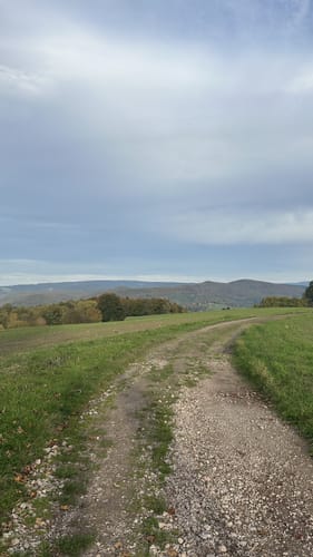 Um den Grasberg