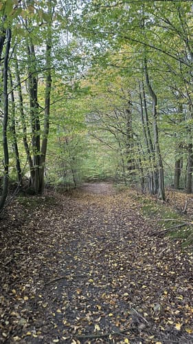 Um den Grasberg