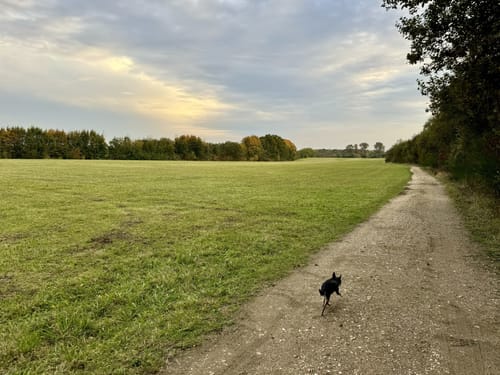 Rund um das Peringsmaar