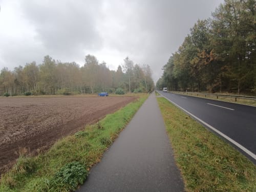 Wesuweer Wald