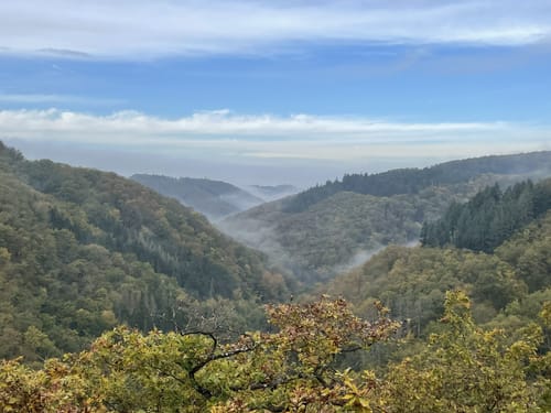 Saar-Hunsrück-Steig Etappe 24: Oppenhausen - Boppard